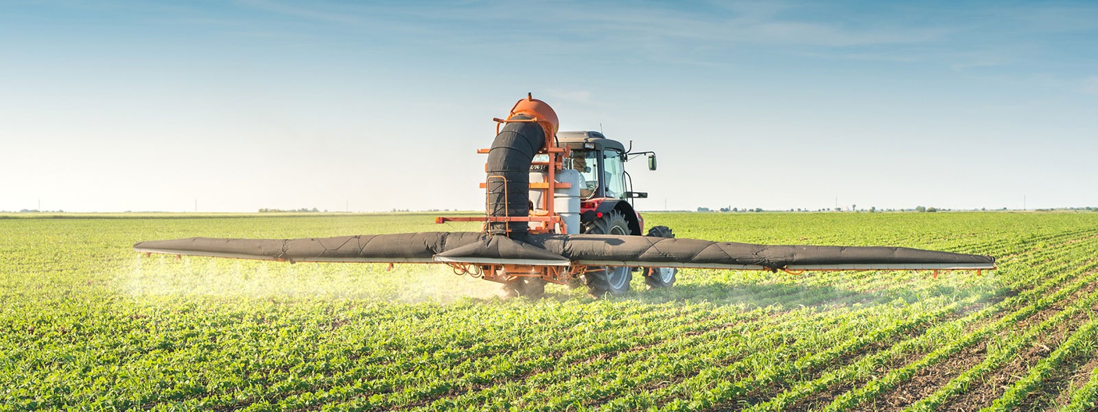 produttore concimi e fertilizzanti liquidi azotal, Solfato ammonico