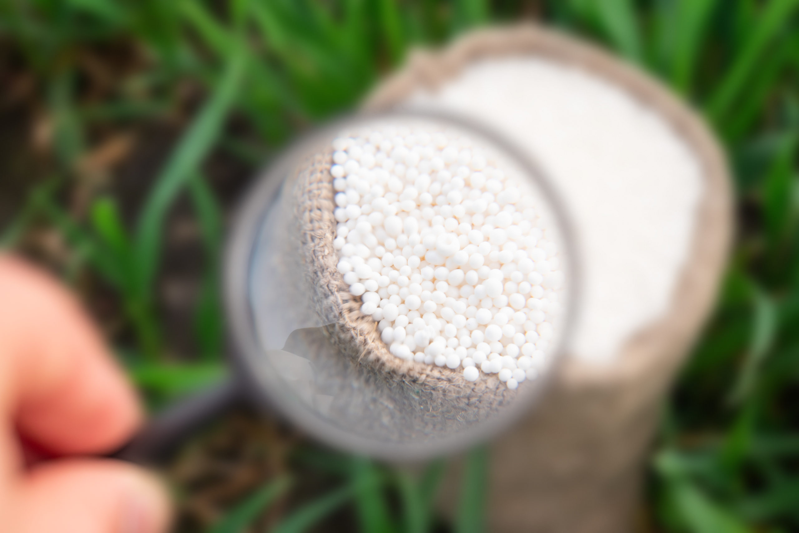 differenze solfato di ammonio e urea